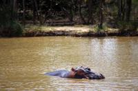 Bootsfahrt auf dem Lake St Lucia