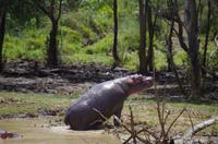 Bootsfahrt auf dem Lake St Lucia