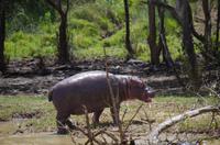 Bootsfahrt auf dem Lake St Lucia