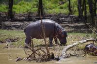 Bootsfahrt auf dem Lake St Lucia