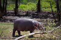 Bootsfahrt auf dem Lake St Lucia