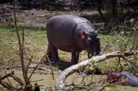 Bootsfahrt auf dem Lake St Lucia