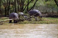 Bootsfahrt auf dem Lake St Lucia