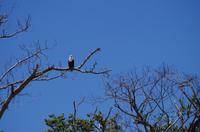 Bootsfahrt auf dem Lake St Lucia