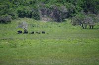 Fahrt durch den Nationalpark iSimangaliso Wetland Park