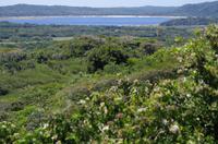 Fahrt durch den Nationalpark iSimangaliso Wetland Park