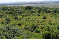 Fahrt durch den Nationalpark iSimangaliso Wetland Park