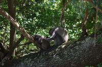 Fahrt durch den Nationalpark iSimangaliso Wetland Park
