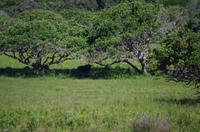 Fahrt durch den Nationalpark iSimangaliso Wetland Park