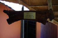 Mittagspause und Harmoniepause im 