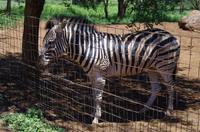 Mittagspause und Harmoniepause im 