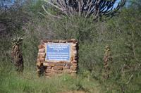 Erste Pirschfahrt am Nachmittag im Mkhaya Game Reserve im Swaziland 