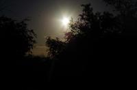 Erste Pirschfahrt am Nachmittag im Mkhaya Game Reserve im Swaziland 