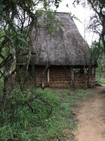 Am Morgen im Stone Camp