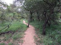 Am Morgen im Stone Camp