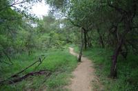 Am Morgen im Stone Camp