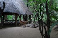 Am Morgen im Stone Camp