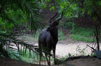 Am Morgen im Stone Camp