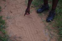 Zweite Pirschfahrt am Vormittag im Mkhaya Game Reserve im Swaziland 