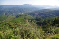 Foto-Stopp an der Kanone „Die Longtoms“ auf der Panorama-Route 