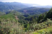 Foto-Stopp an der Kanone „Die Longtoms“ auf der Panorama-Route 