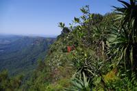 Foto-Stopp am „God‘s Window“ auf der Panorama-Route 