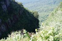 Foto-Stopp am „God‘s Window“ auf der Panorama-Route 