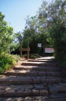 Foto-Stopp am „God‘s Window“ auf der Panorama-Route 