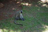Foto-Stopp am Bourke‘s Luck Potholes auf der Panorama-Route 