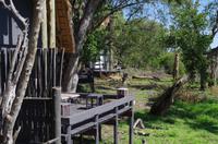 Mittagspause in der Simbavati River Lodge 