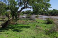 Mittagspause in der Simbavati River Lodge 