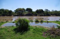 Mittagspause in der Simbavati River Lodge 