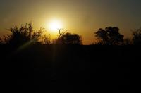 Erste Pirschfahrt am Nachmittag im Timbavati Naturreservat in Südafrika