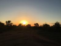 Erste Pirschfahrt am Nachmittag im Timbavati Naturreservat in Südafrika