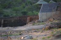 Zweite Pirschfahrt am Vormittag im Timbavati Naturreservat in Südafrika