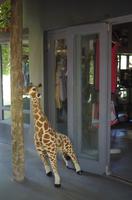 Mittagspause in der Simbavati River Lodge 