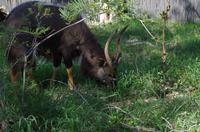 Simbavati River Lodge