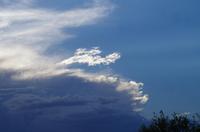 Dritte Pirschfahrt am Nachmittag im Timbavati Naturreservat in Südafrika