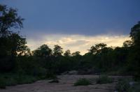 Dritte Pirschfahrt am Nachmittag im Timbavati Naturreservat in Südafrika
