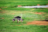 Mittagspause in ALZU Petroport 