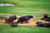 Mittagspause in ALZU Petroport 