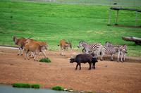 Mittagspause in ALZU Petroport 