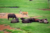 Mittagspause in ALZU Petroport 