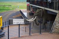 Mittagspause in ALZU Petroport 