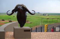 Mittagspause in ALZU Petroport 