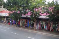 Stadtrundfahrt durch Johannesburg 