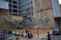 Stadtrundfahrt durch Johannesburg 