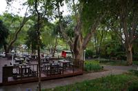 Harmoniepause beim Sunnyside Hotel in Johannesburg