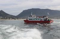 22 Bootsfahrt zu Seal-Island