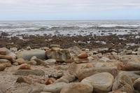 43 Kap der guten Hoffnung